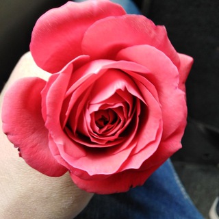 لوگوی کانال تلگرام syrai19syrai19 — سحر❤️الخواطر