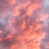 Telegram арнасының логотипі syrbeine — 𝓑𝓪𝓺𝔂𝓽 𝓺𝓾𝓼𝓱𝓪𝓰𝔂𝓷𝓭𝓪...