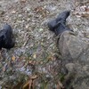 Логотип телеграм канала @syurreserve — Боец России | Z