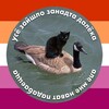 Лагатып тэлеграм-канала szczytpost — постмадэрн-nouveau