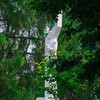 Логотип телеграм канала @szvlike — В Созвездии любят
