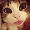Логотип телеграм канала @t0kak93336al7 — тред последствий лоботомии