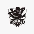 Logo saluran telegram t20blast2023n — T20 BLAST CRICKET REPORTS