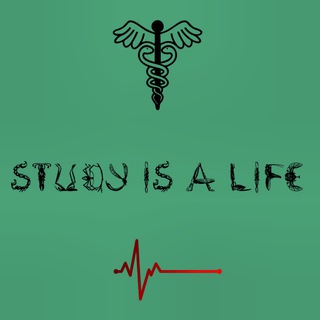 لوگوی کانال تلگرام t91011f — First & second Stages (Study is a Life)