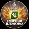 Логотип телеграм канала @t_zelek — Типичный Зеленокумск
