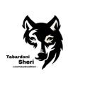 Logo saluran telegram tabardonisheri — •تبردونی شری