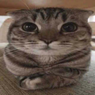 Логотип телеграм канала @taburet_private — Приватки от табурета