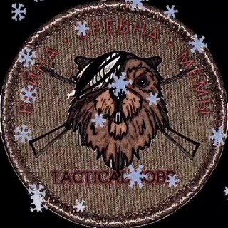 Логотип телеграм канала @tactical_bobr — TACTICAL BOBR 🦫