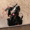 Логотип телеграм канала @tactical_lapki_airsoft — TАКТИКАЛ ЛАПКИ – Airsoft girly channel | Страйкбол