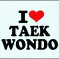 Logo saluran telegram taekwondoiran — 😍TAEKWONDO😍