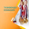 Логотип телеграм канала @taekwondokam134 — Тхэквондо Камышин | АЙДИНЯНТИМ