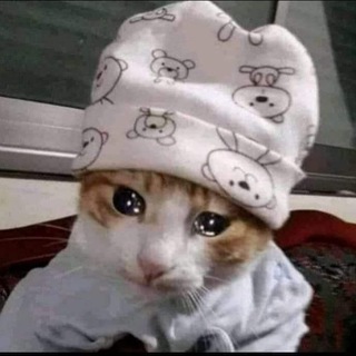 لوگوی کانال تلگرام tafawwak1 — عاشق السهر🙂❤