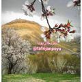لوگوی کانال تلگرام tafrijanpoya — کانال تفریجان پویا