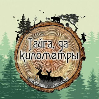 Логотип телеграм канала @taiga_da_kilometri — Тайга, да километры🌲