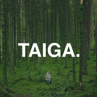 Логотип телеграм канала @taiga_rf — 🌲тайга