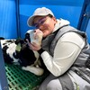 Логотип телеграм канала @tainakorov — Вселенная Коров 🐄