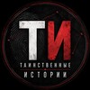 Логотип телеграм канала @tainstvennye_istorii — Таинственные истории