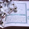 Telegram channel Keling qur'on o'qiymiz logo
