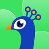 Telegram channel 🦚TakaLive🦚 logo