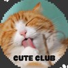 Logo of telegram channel takeeasyvn — CUTE club l Vietnam