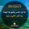 لوگوی کانال تلگرام takhrijulahadis — تخریج الأحادیث