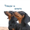 Логотип телеграм канала @taksabooks — Таксы & Книги