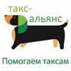 Логотип телеграм канала @taksalliance — Такс-Альянс СПб