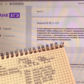 Логотип телеграм канала @taksisksotke — таксис к сотке