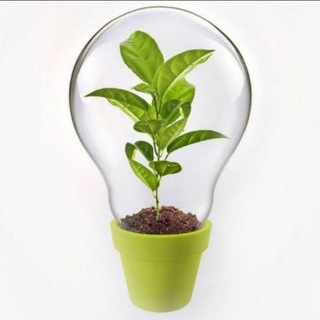 Логотип телеграм канала @talantummir — Талантум