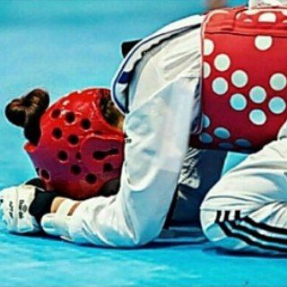 لوگوی کانال تلگرام talayehdarane_taekwondo — HERO | قهرمان