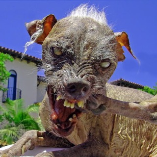 Логотип телеграм канала @talesfromthe_cryptkeeper — ⚠️ СТРАШНЫЕ ИСТОРИИ