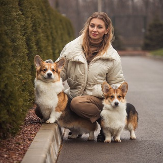 Логотип телеграм канала @talisman_vasilisy — Корги Talisman Vasilisy
