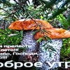 Логотип телеграм канала @talkingdrumzuzubaidu — talking drum's special set