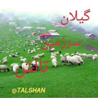 لوگوی کانال تلگرام talshan — 🌹گیلان:سرزمین ، تالش🌹