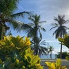 Логотип телеграм канала @tamarindo_hotel — "Тамариндо". Отель на острове Маргарита
