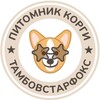 Логотип телеграм канала @tambovstarfox — Мир корги питомника Тамбовстарфокс