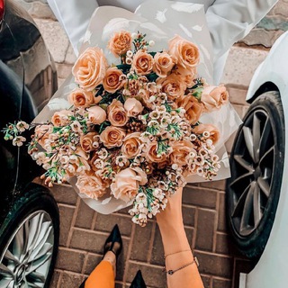 لوگوی کانال تلگرام tamemea — شموووخ انثى💅🏃‍♀