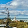 Логотип телеграм канала @tamerlan_mediator — КОНТУР