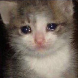 Логотип телеграм канала @tamerlanmem — мемы тамерлана