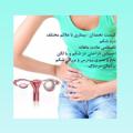 لوگوی کانال تلگرام tanbalitokhmdan — تنبلی تخمدان