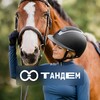 Логотип телеграм канала @tandemhorse — Тандем | Всё вокруг лошади