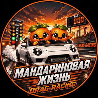 Логотип телеграм канала @tangerine_life — Мандариновая Жизнь🍊