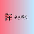 Logo saluran telegram tanhua_zan — 探花招募-提供设备