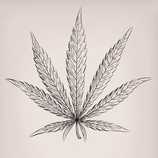 电报频道的标志 tanke420zz — ⛑種植資訊®™