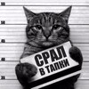 Логотип телеграм канала @tanksblitzappgallary — Дуркааа