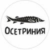 Логотип телеграм канала @tanryb — «Осетриния»