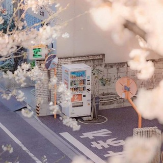 电报频道的标志 taosudianpu0623 — 桃酥🌨小店铺🌸