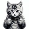 Логотип телеграм канала @tapki_news — ТАП-ки — мини игры, айрдропы, крипто-тапалки ️️✨