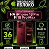 Логотип телеграм канала @tapple2025 — Тобольское Яблоко