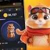 Telegram каналынын логотиби tapswap_blum_hamsterkombat — Hamster|Tapswap|Blum